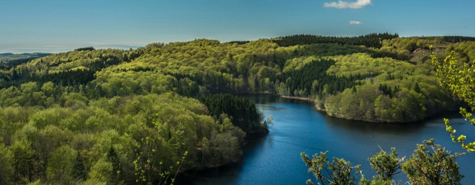 Reduce Environmental Impact Healthy forest and river showing reduced environmental impact