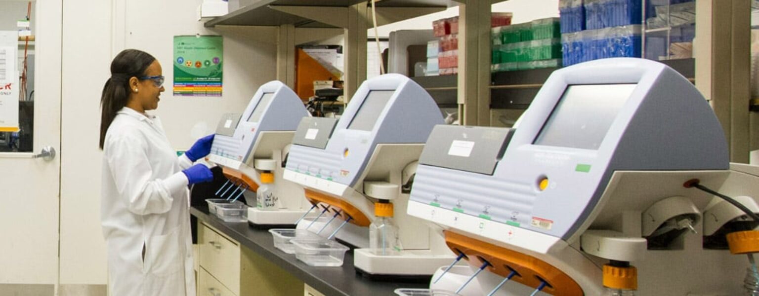 Healthcare Managed IT Services Woman working in healthcare field on computers