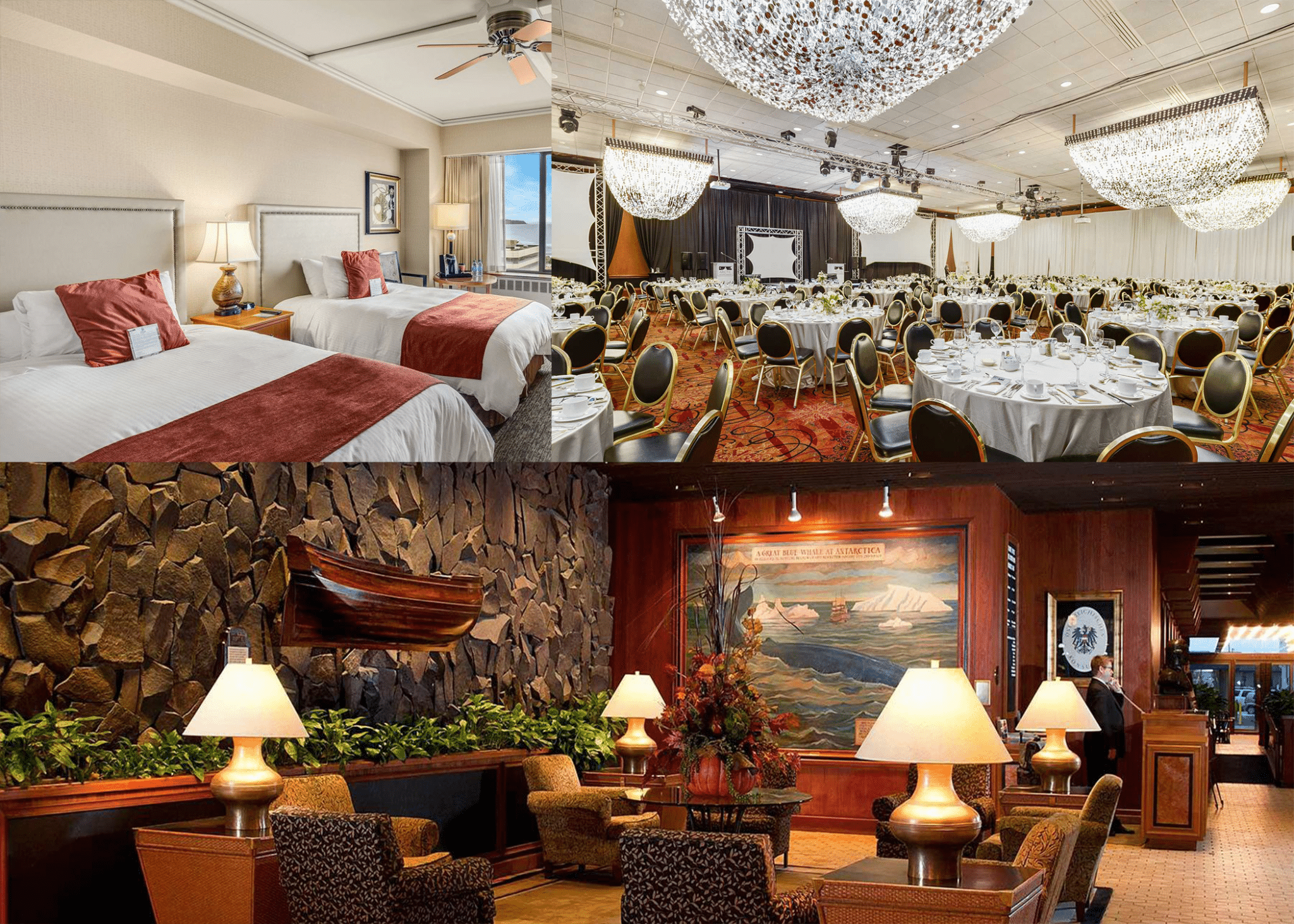 Hotel Captain Cook